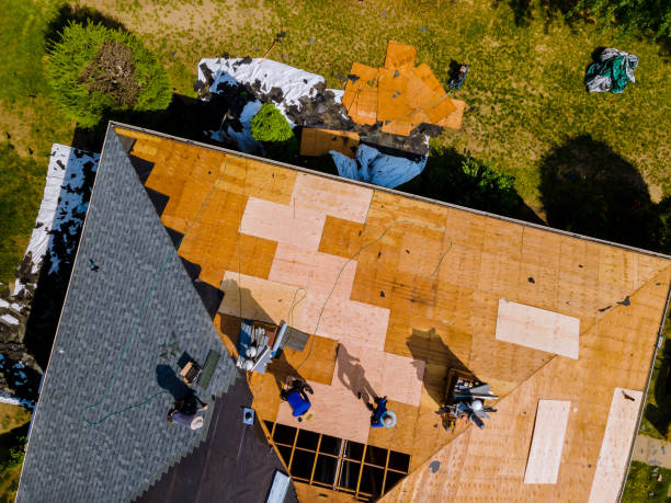 Best Roof Replacement Cost  in Castle Rock, CO