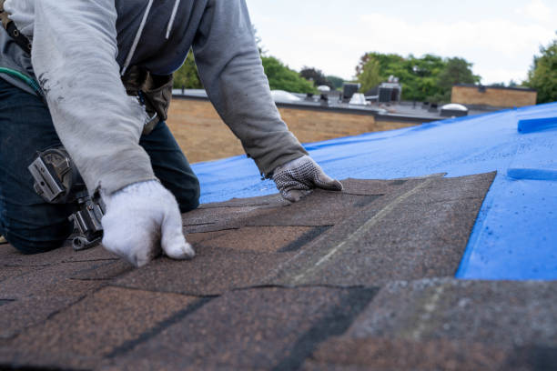 Best Storm Damage Roof Repair  in Castle Rock, CO