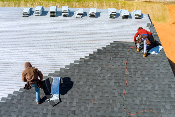 Best Shingle Roofing Installation  in Castle Rock, CO