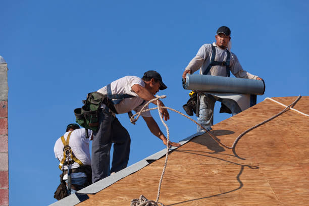 Best Gutter Installation and Roofing  in Castle Rock, CO