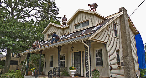Professional Roofing Contractor in Castle Rock, CO