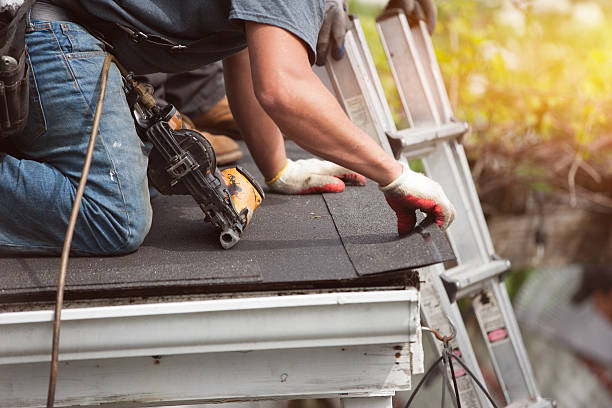 Roof Gutter Cleaning in Castle Rock, CO